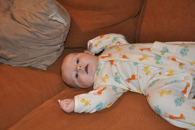 William's Twenty-Third Week 59.jpg